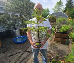 pioneer valley member