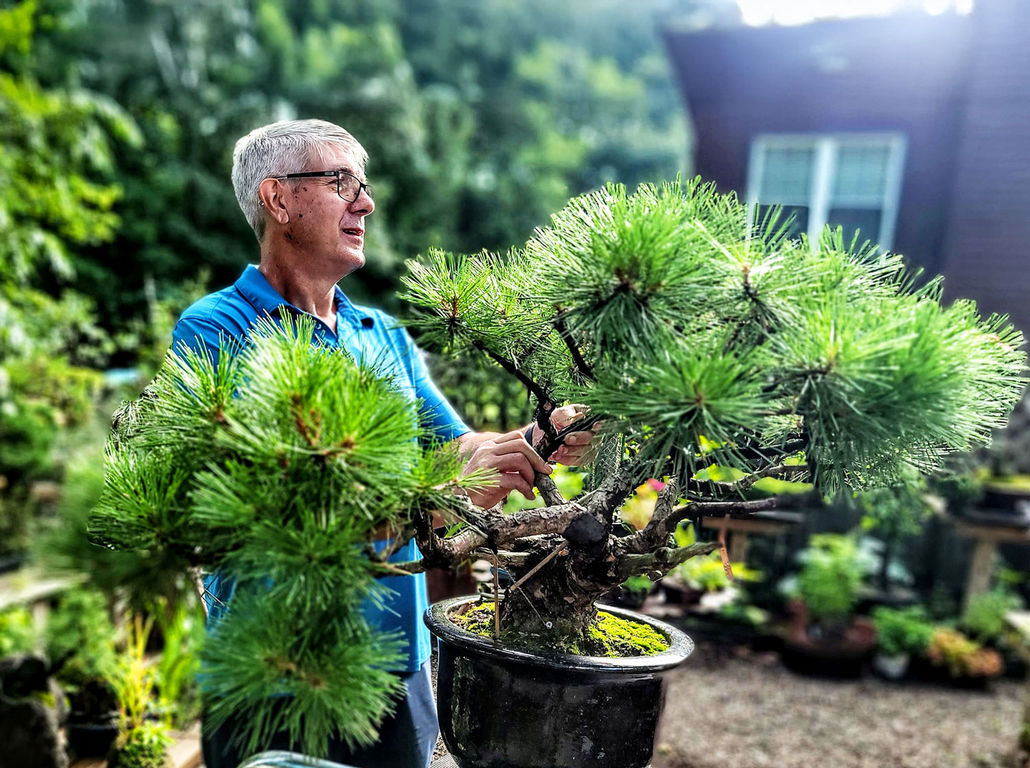 Doug Taylor repotting class