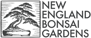 New England Bonsai Gardens