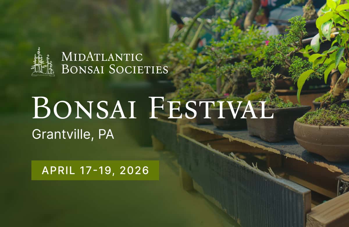 MidAtlantic Spring Festival