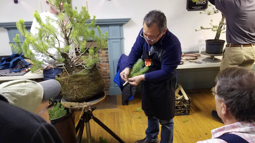 Boon showing cuttings