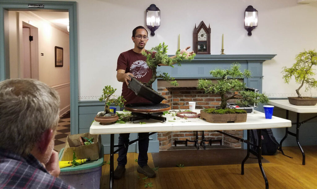 bonsai on turntable