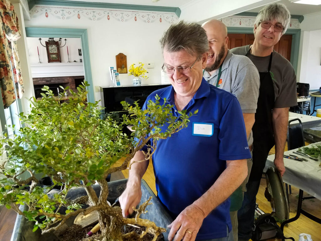 silly with bonsai