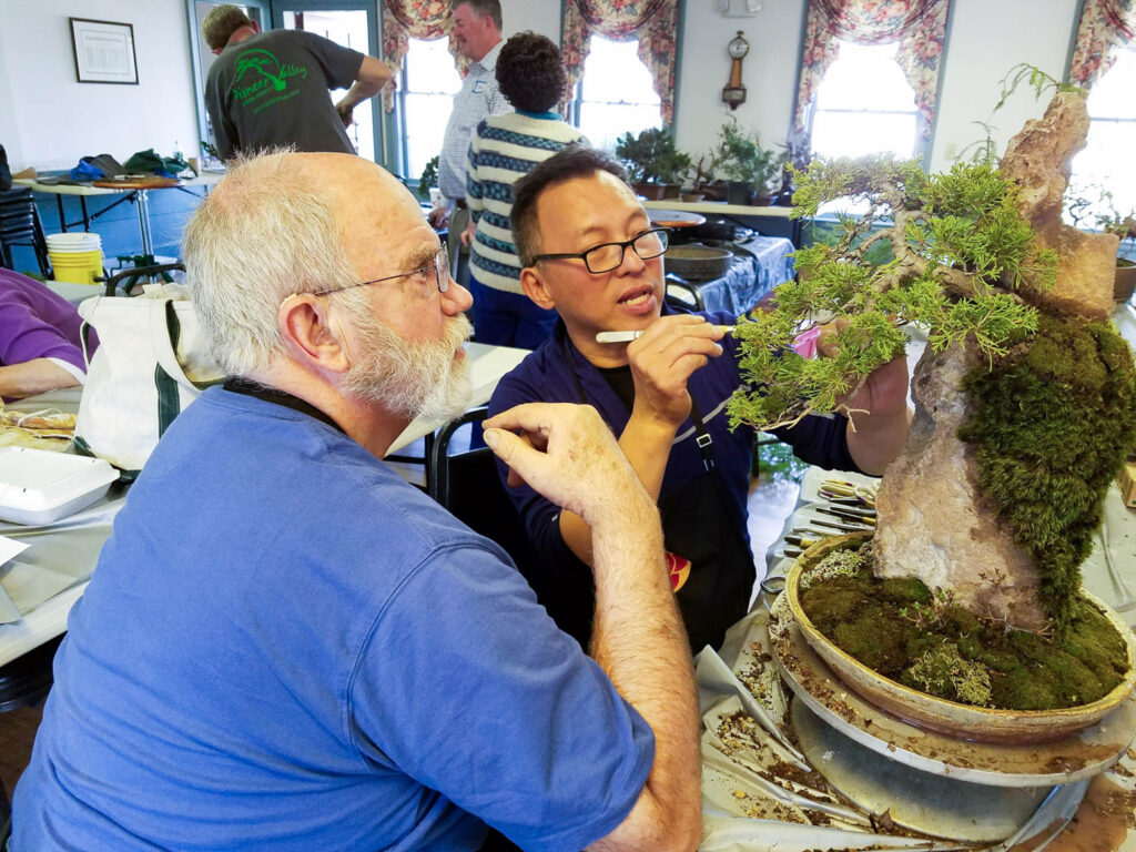 Boon critiquing bonsai