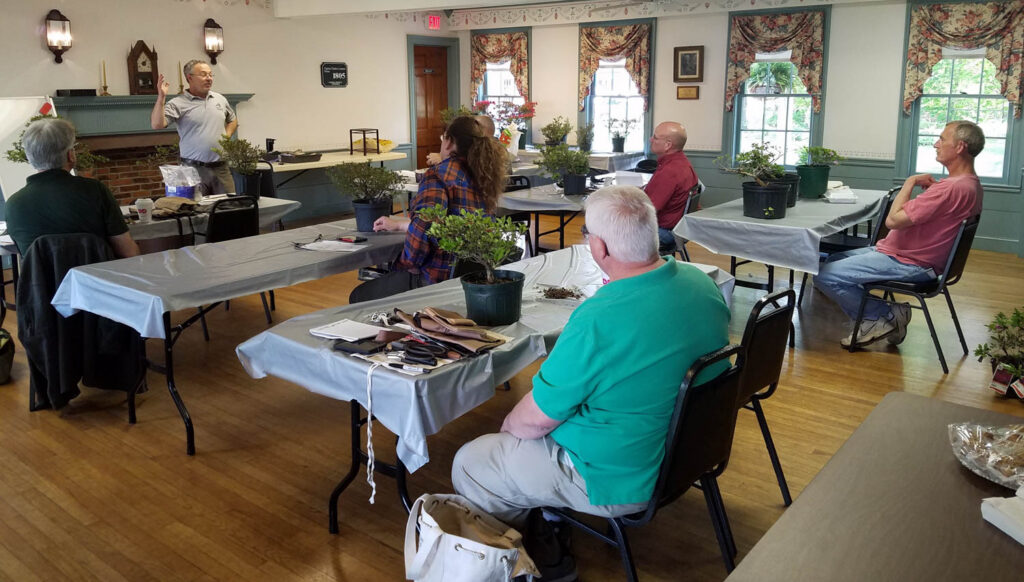bonsai class from behind
