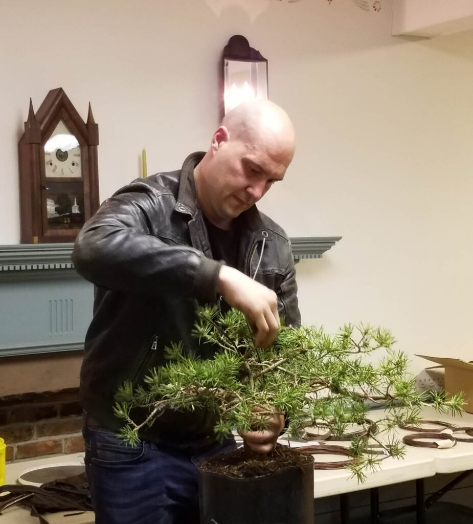 pruning tree