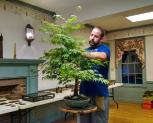 working on tree for workshop