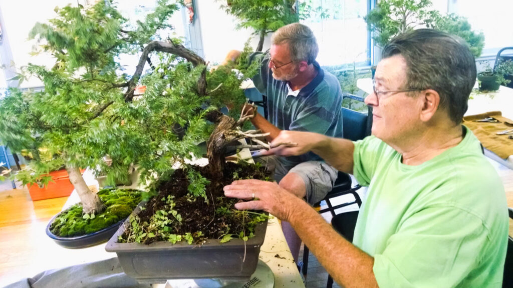 repotting workshop