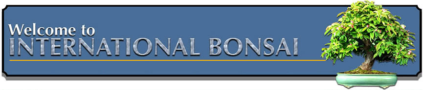 International Bonsai