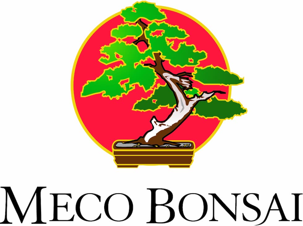 MECO Bonsai
