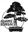 Adams Bonsai