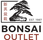 Bonsai Outlet