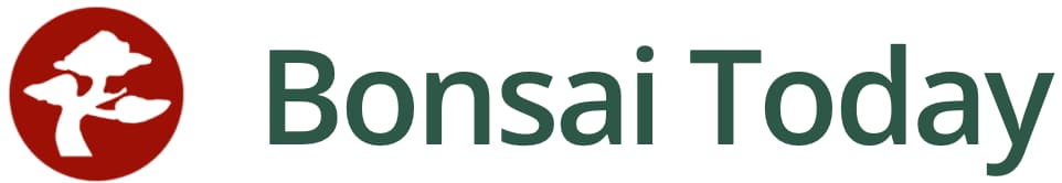 Bonsai Today