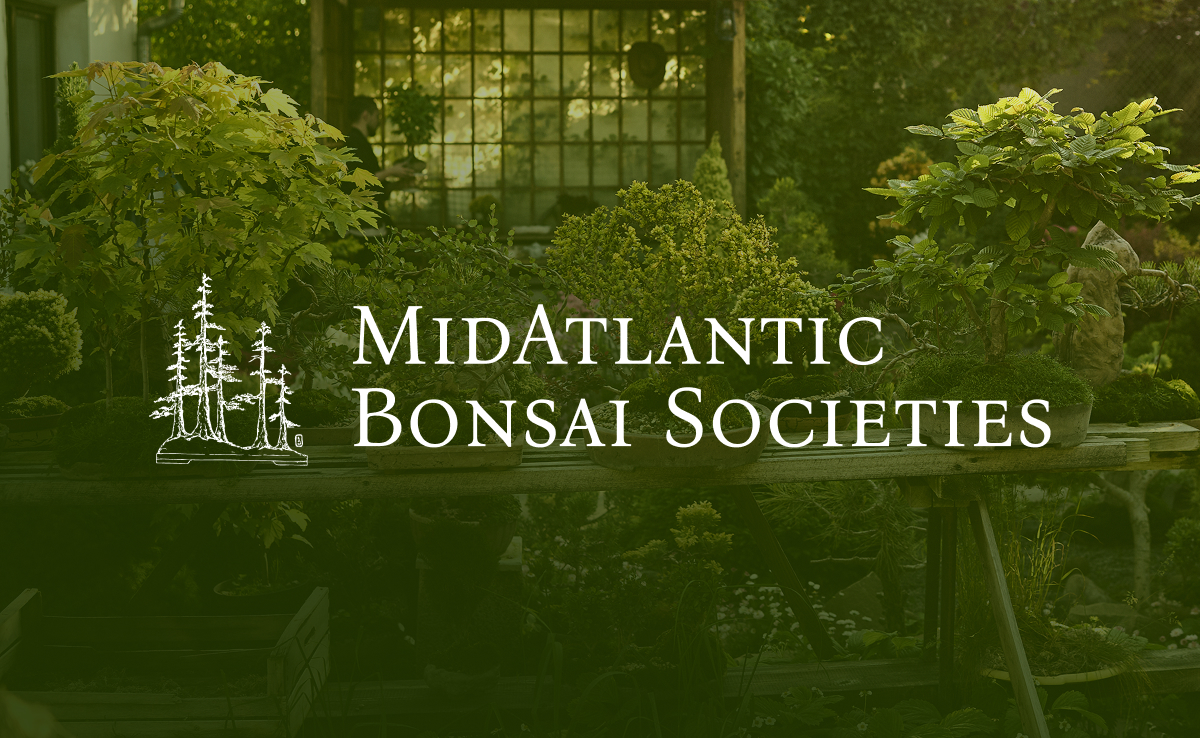 MidAtlantic Bonsai Societies