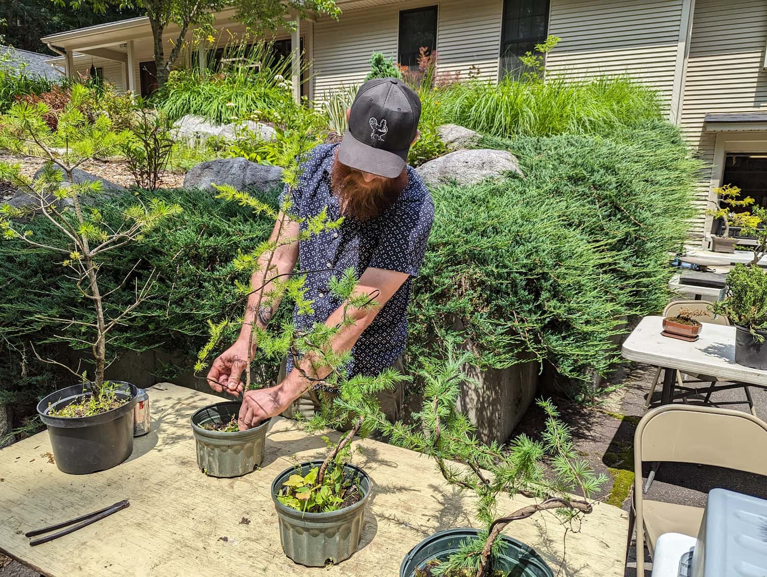 member working on tree at Bressem workshop