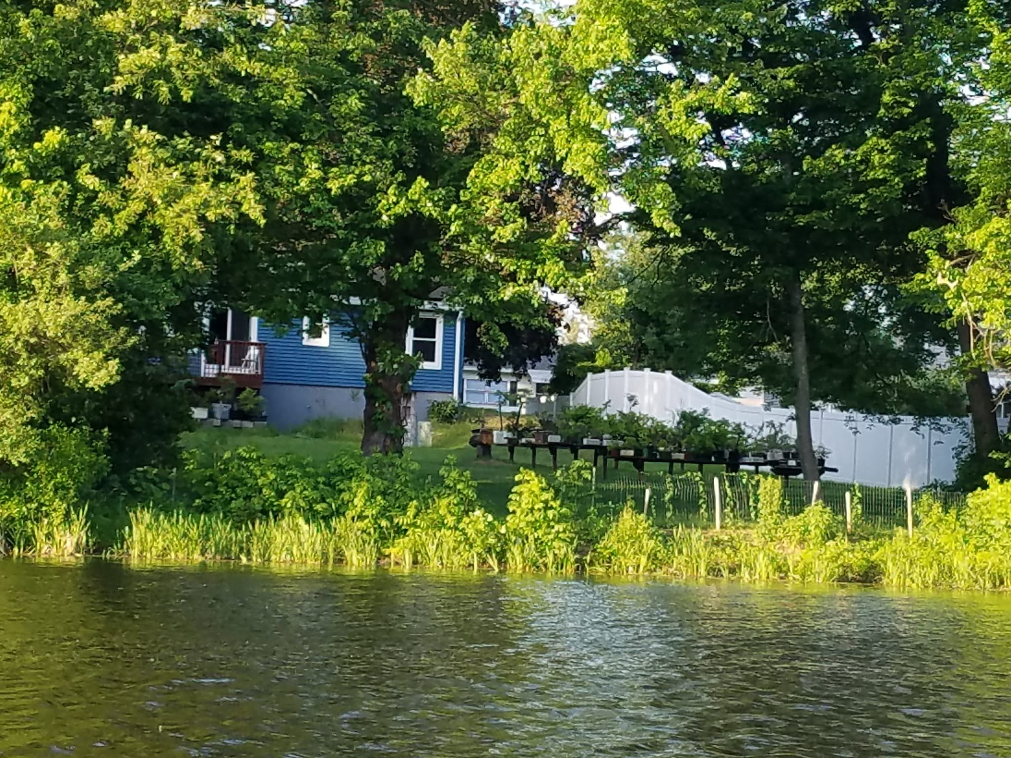 Kris Springer's house