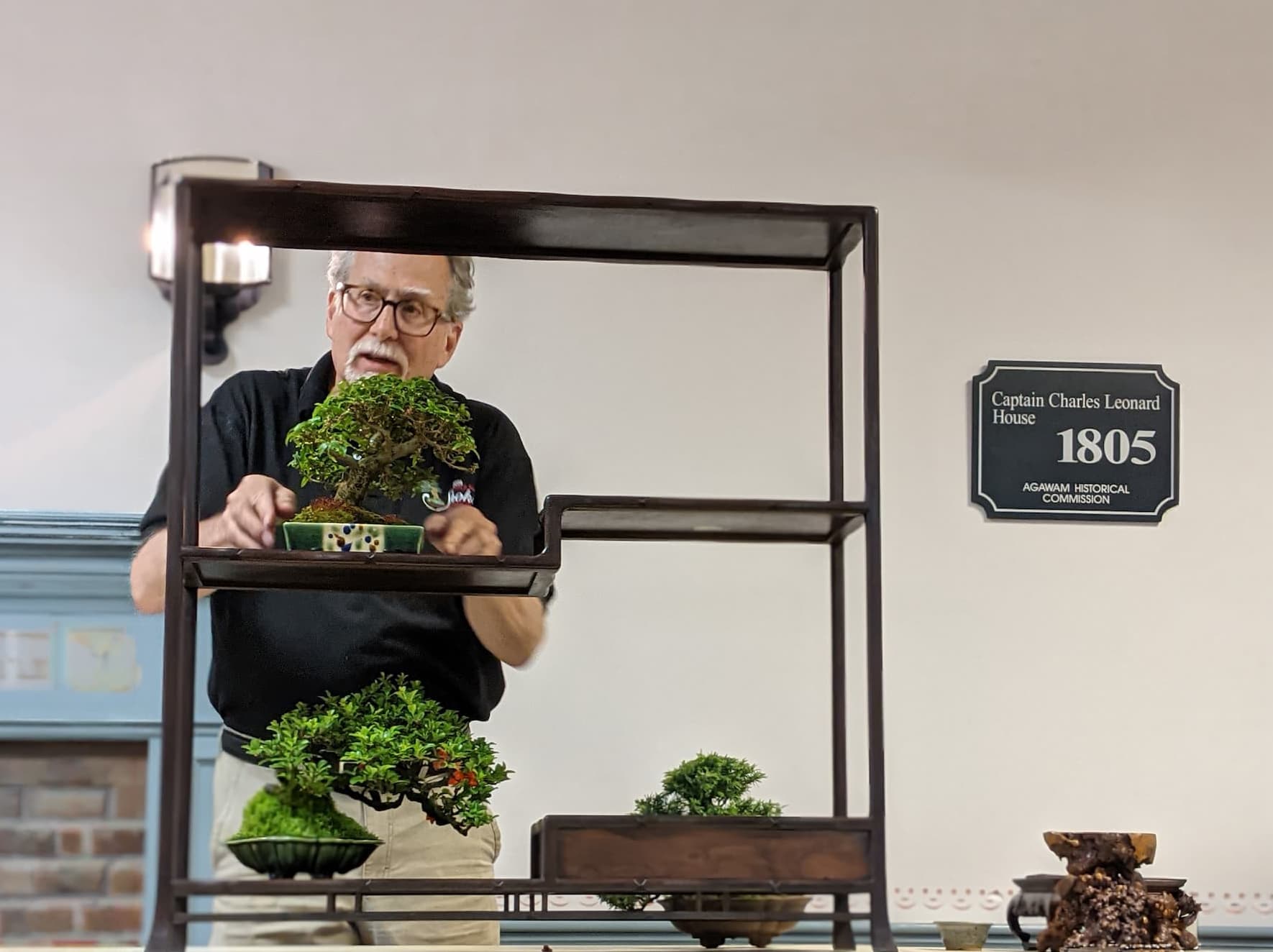 Mark Arpag bonsai