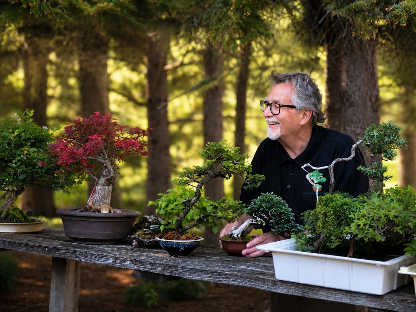 Mark Arpag looking at bonsai