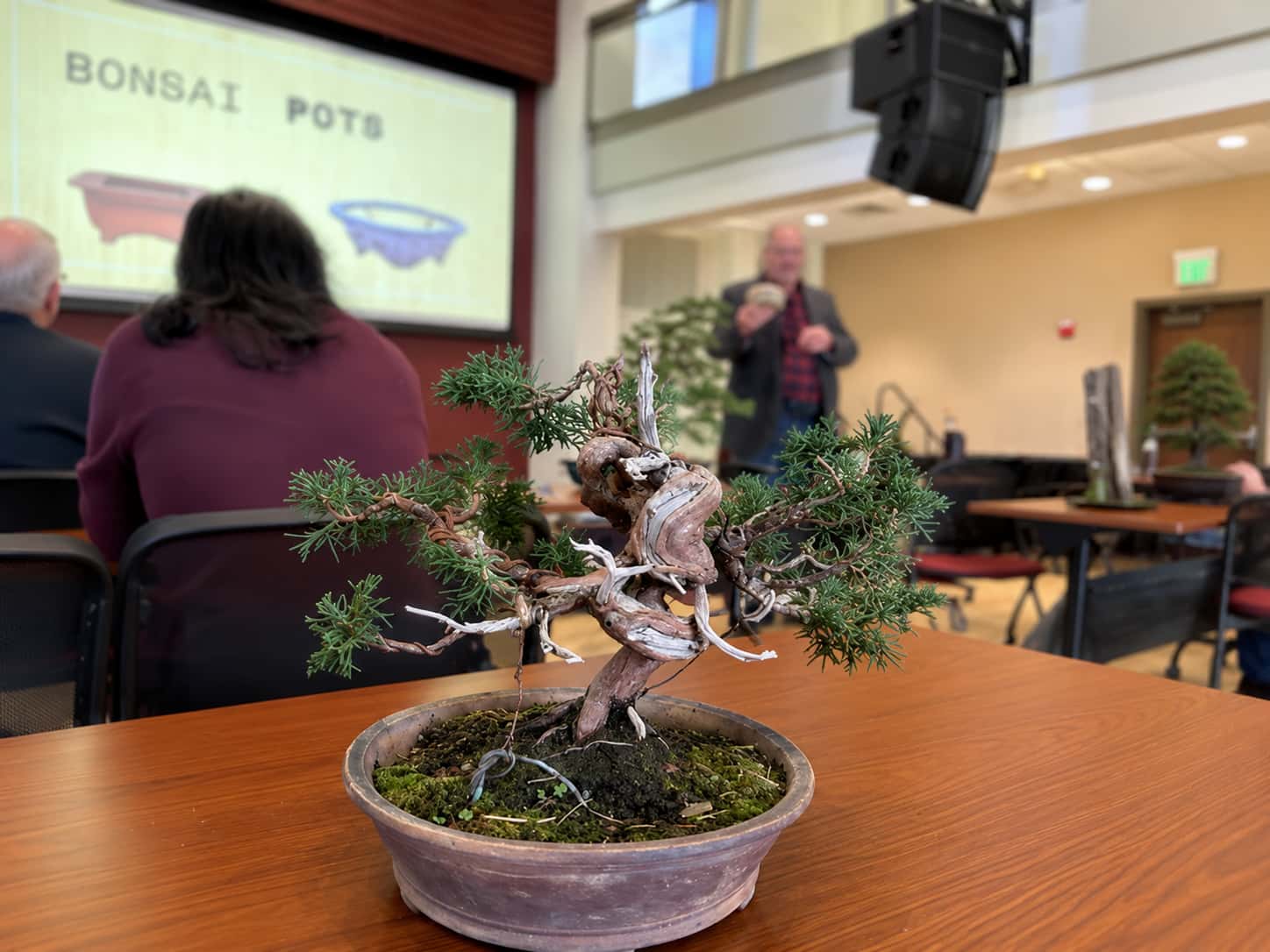 Joe teaching bonsai class