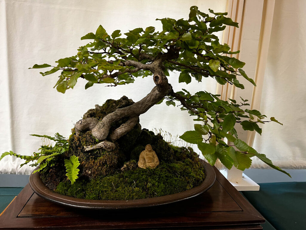 tree 47