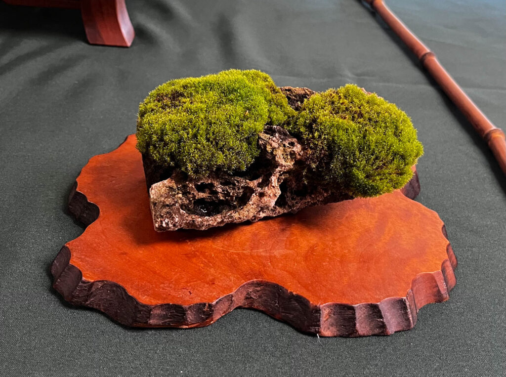 tree 44
