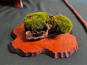 tree 44