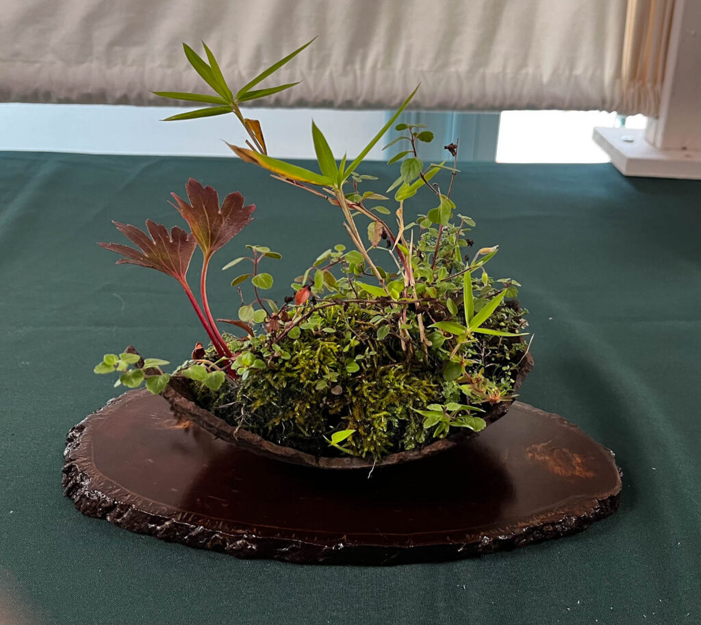 tree 42