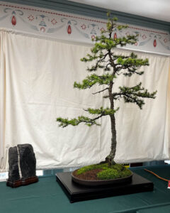 tree 23