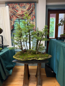 tree 57