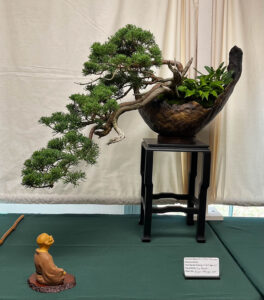 tree 16