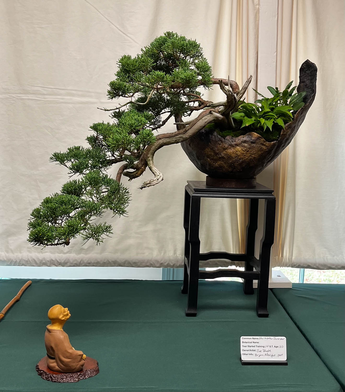 tree 16