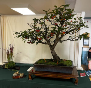 tree 10