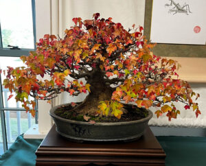 tree 4