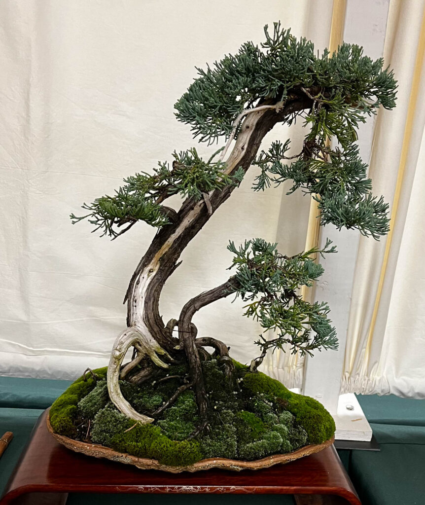 tree 3