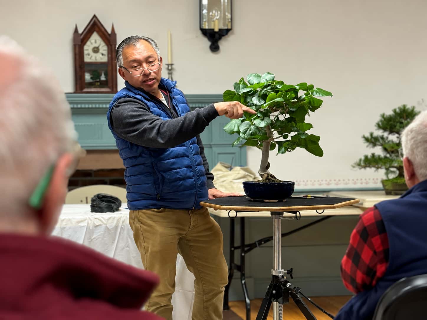 boon discussing tree design