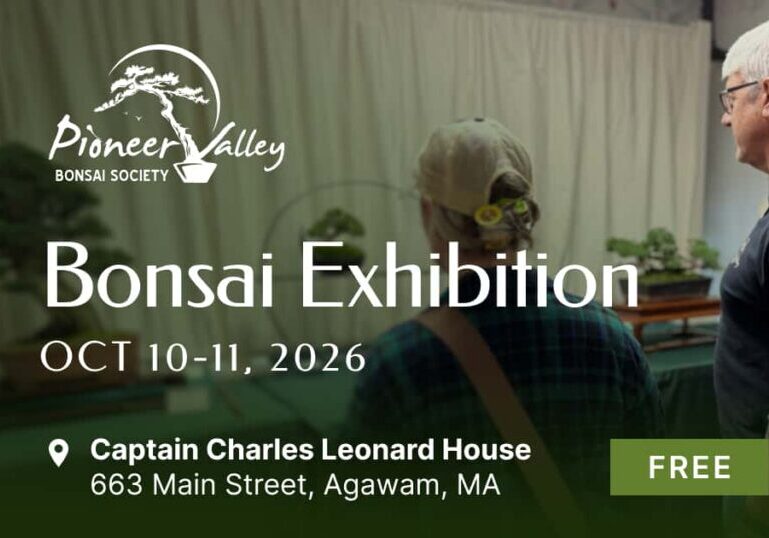 2026 bonsai exhibition