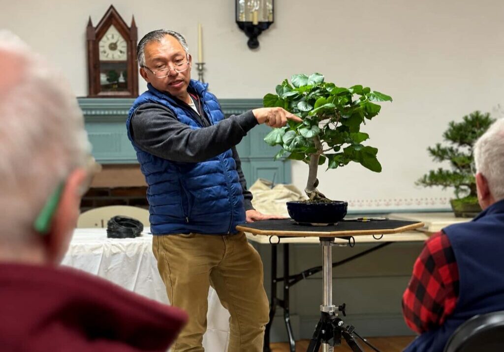 boon discussing tree design