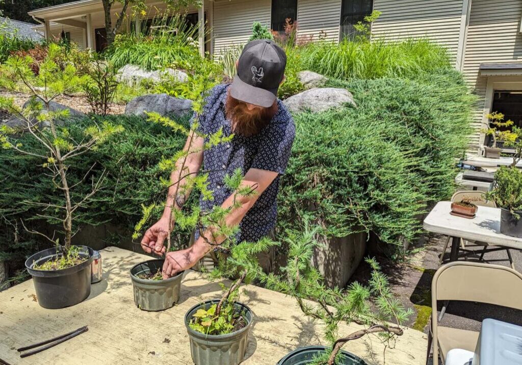 member working on tree at Bressem workshop