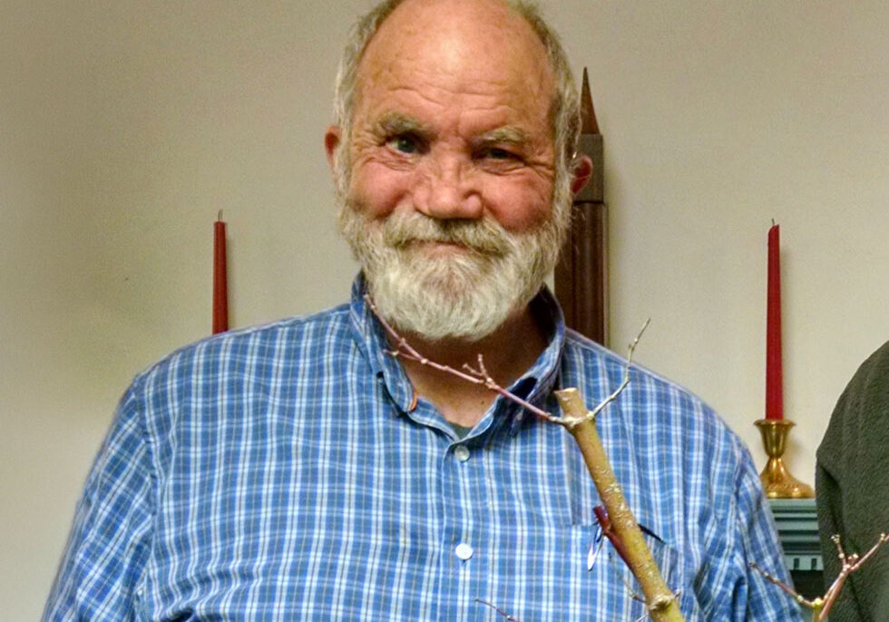 David Bressem portrait