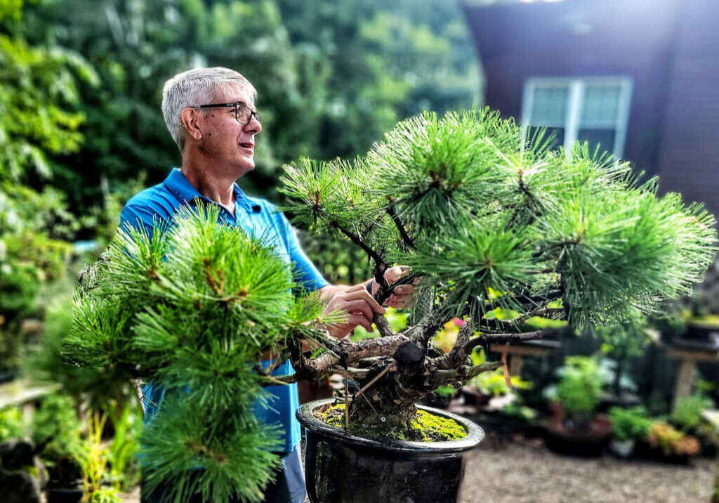 Doug Taylor repotting class