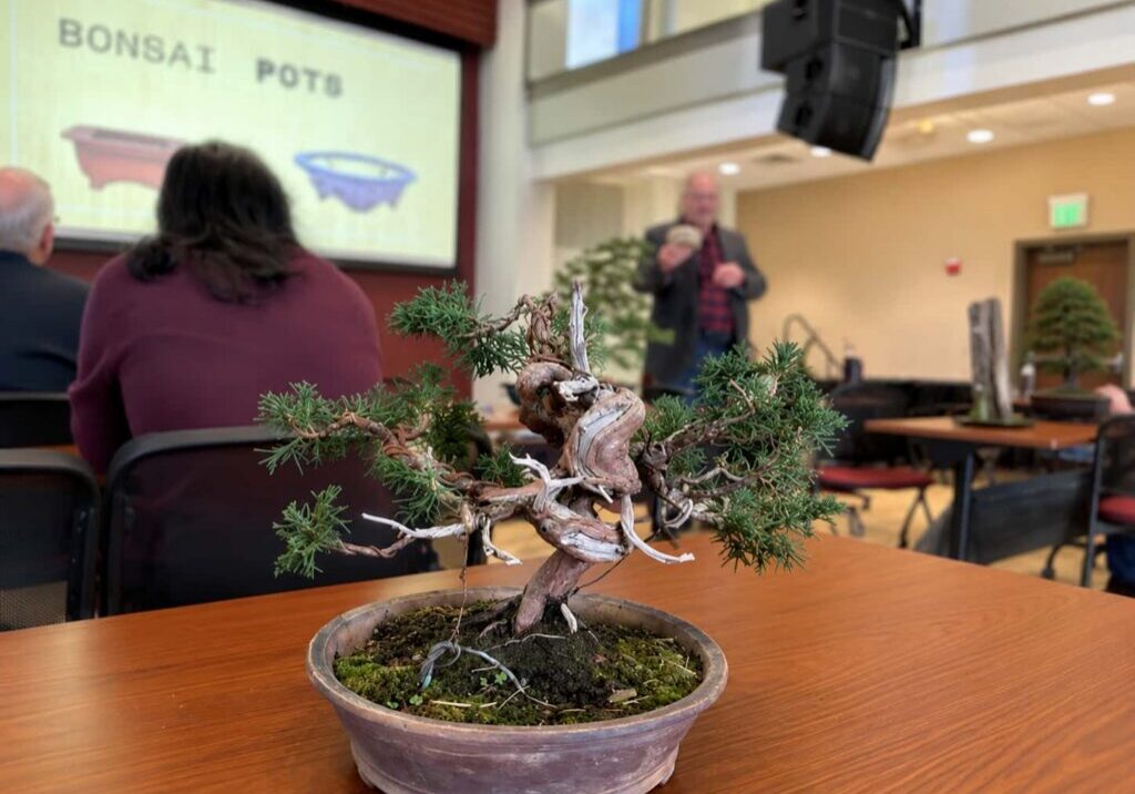 Joe teaching bonsai class
