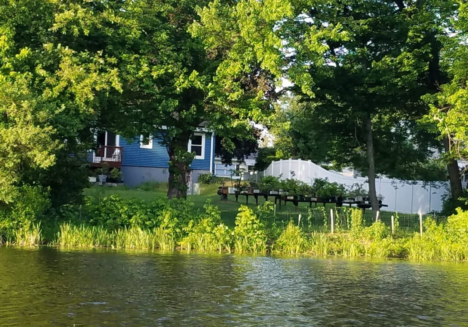 Kris Springer's house
