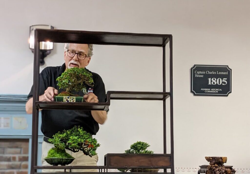 Mark Arpag bonsai