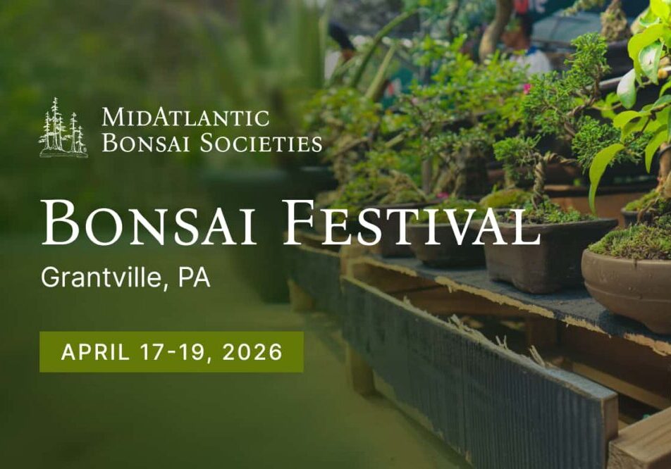 MidAtlantic Spring Festival