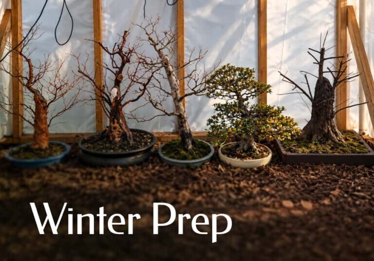 winter prep meeting