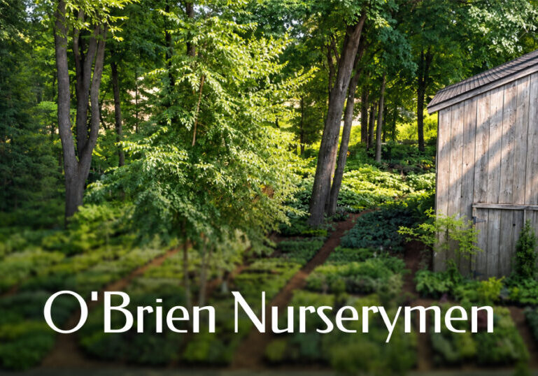 OBrein Nursery