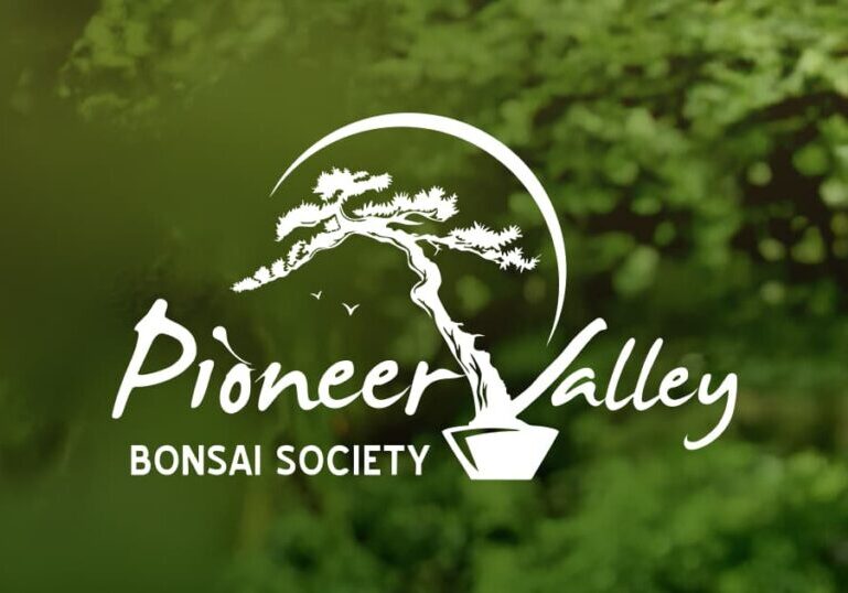 Pioneer Valley Bonsai Society
