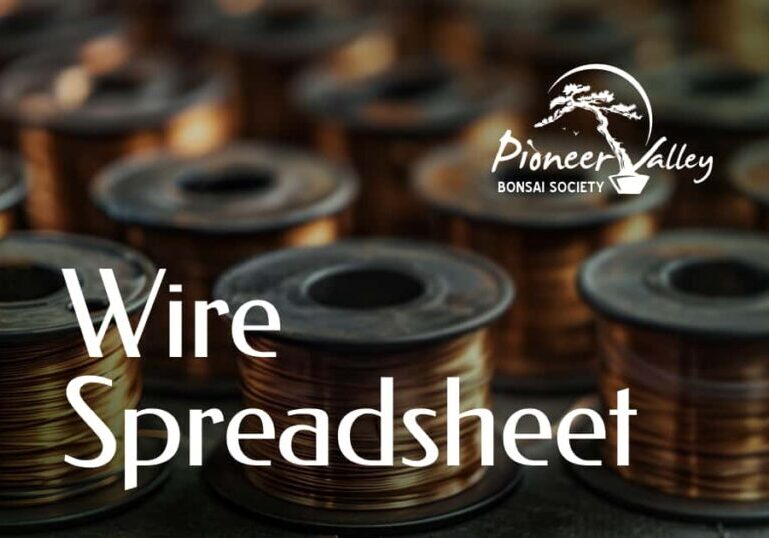 bonsai wire